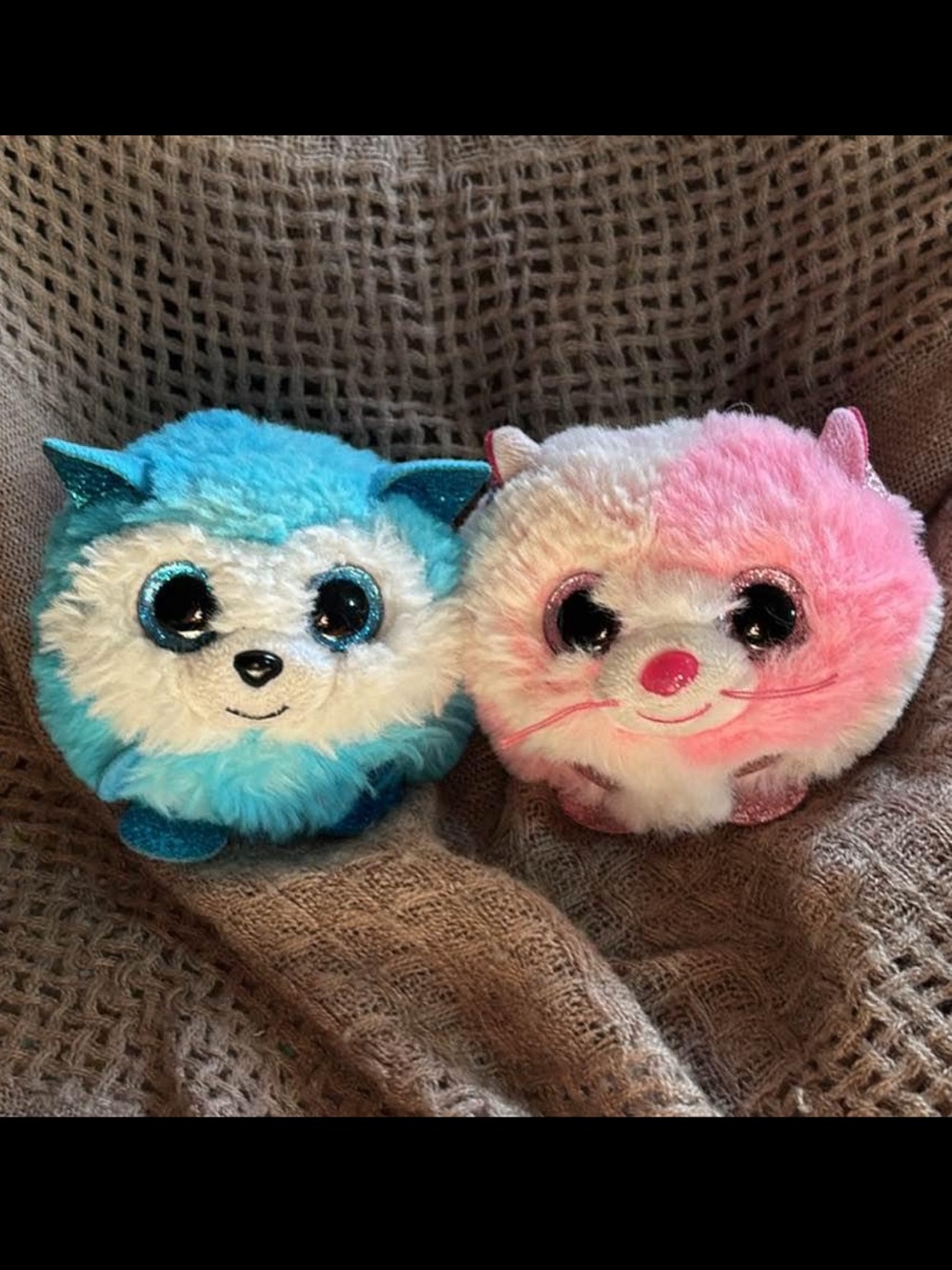 Ty Puffies blue husky & pink cat
